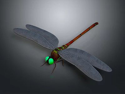 Dragonfly With Red And Green Body Green Eyes And Gray Wings On Gray Background 3d model