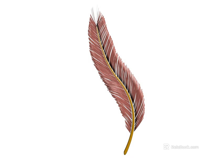 Delicate Pink Feather With Yellow Shaft And Soft Light Plumage Structure 3d model