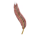 Delicate Pink Feather With Yellow Shaft And Soft Light Plumage Structure 3d model