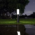Outdoor Lights With Various Modern Designs Illuminating Night Grass And Water Reflections