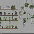 Indoor Wall Decor With Hanging Basket Plants And Shelf Potted Greenery