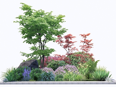 Modern shrub plant combination flower border flowers and plants model