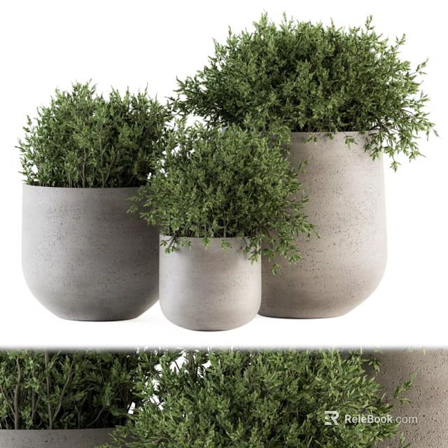 Modern Shower Sauna Space Design With Grey Elements And Green Plant Decorations 3d model 