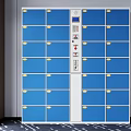 Blue Electronic Storage Lockers With Multiple Compartments And Control Panel 3d model