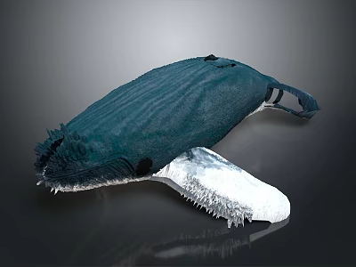 Whale Plush Figure With Dark Teal Fabric Body White Underbelly Frayed Edges 3d model