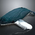 Whale Plush Figure With Dark Teal Fabric Body White Underbelly Frayed Edges