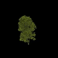 Decorative Ornament Set With Natural Green Leafy Tree Design For Home Decoration
