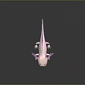 Pink Axolotl With Feathery External Gills On Dark Reflective Background 3d model