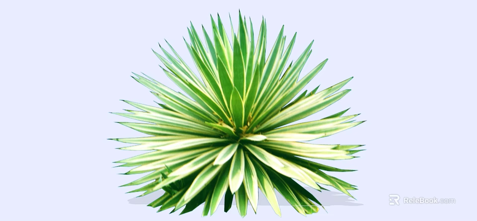 Variegated Green and White Leaf Shrub with Lush Clumping Growth Pattern 3d model 
