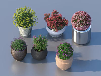 Colorful Bonsai Plants in Various Ceramic and Metal Pots Displayed on Surface 3d model
