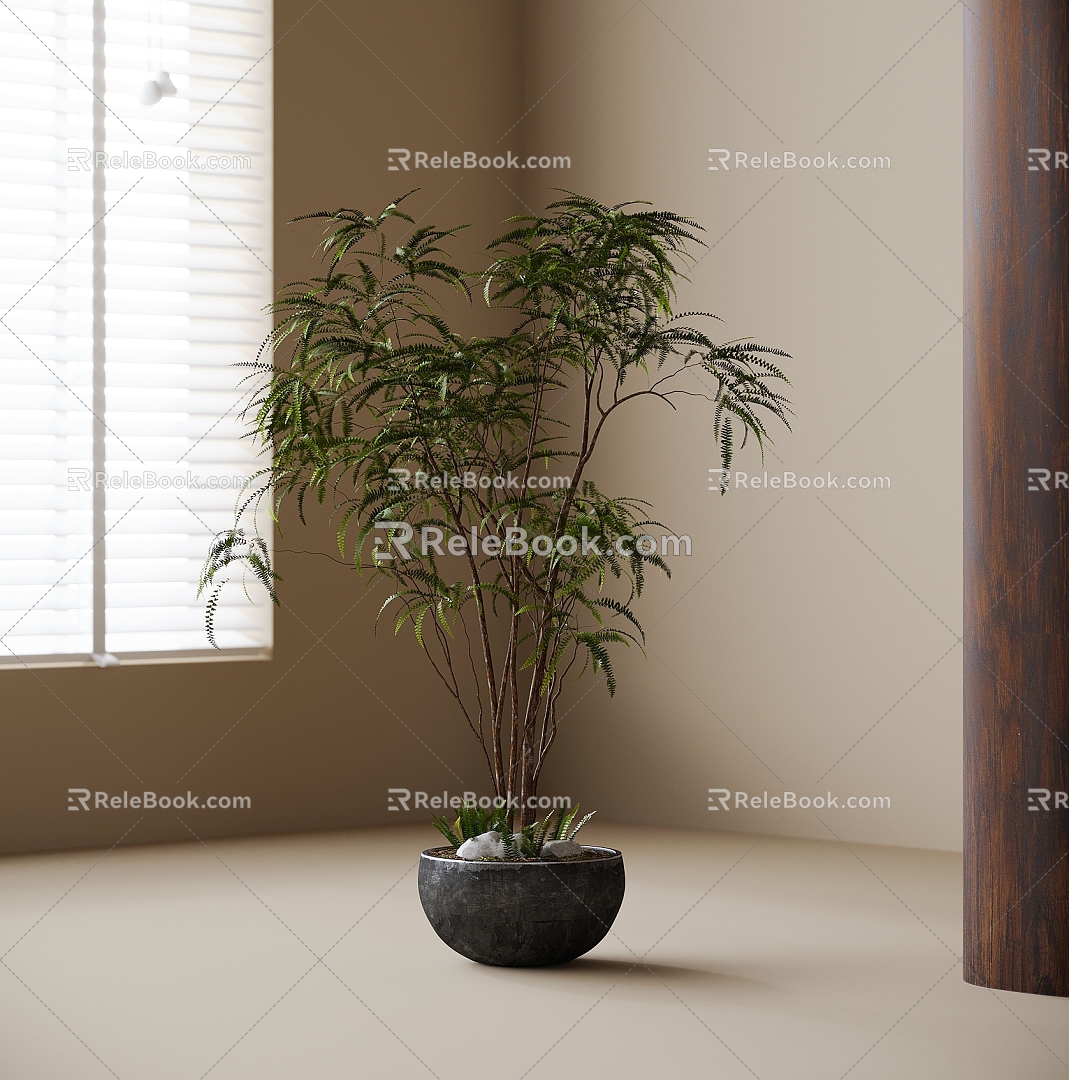 bonsai plant ornaments plant green plants 3d model