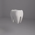 Detailed White 3D Tooth Model Displayed On Dark Background With Realistic Texture 3d model