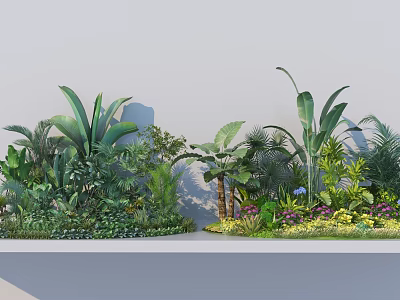Ground Cover Plants With Lush Green Foliage And Diverse Species For Garden Landscape Design 3d model