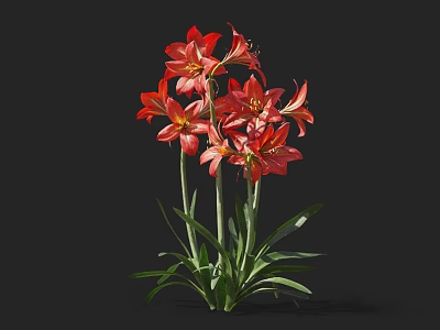 Blooming Vibrant Red Flowers With Fresh Green Leaves Against Black Background 3d model