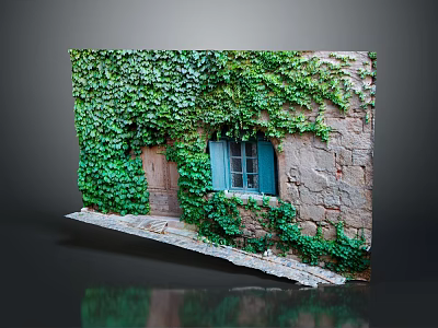 Lush Green Ivy Vines Growing On Stone Wall With Blue Window And Wooden Door 3d model