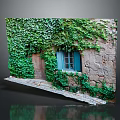 Lush Green Ivy Vines Growing On Stone Wall With Blue Window And Wooden Door