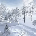 Snowy Winter Landscape With Trees Covered In Snow And Sunlight Shadows