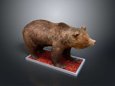 Realistic Brown Bear Model Standing On Red Base Display Platform 3d model