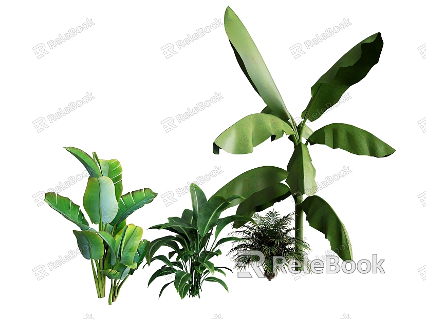 Plant combination tropical plant green plant plantain rice straw model