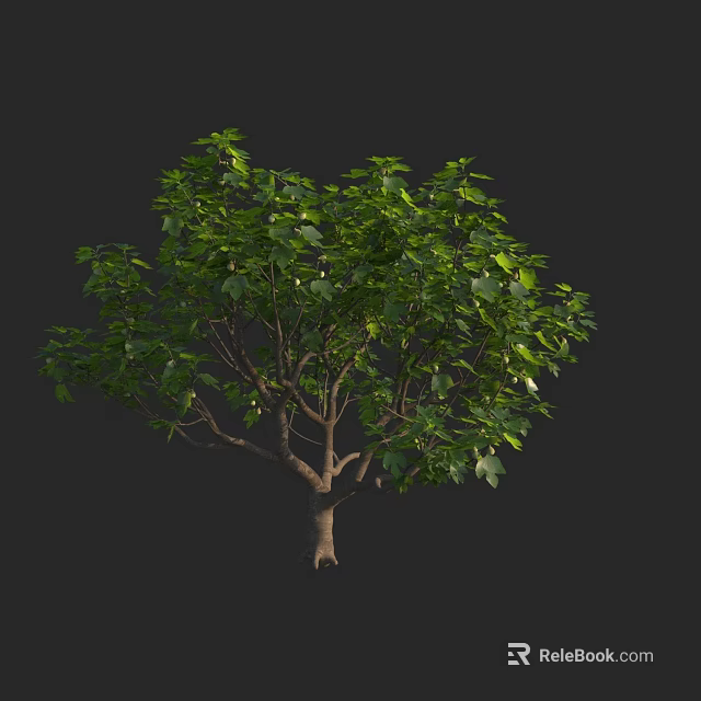 Lush Green Arbor With Dense Foliage And Strong Trunk In Natural View 3d model 