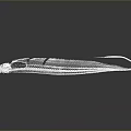 Detailed Anatomical Organ Structure With Hair Fibers In White 3D Rendering