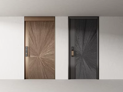 Modern Brown And Black Entrance Doors With Radiating Patterns Mounted On White Wall Background 3d model