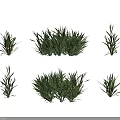 Vibrant Green Crop Plants With Lush Foliage And Natural Growth Habit
