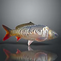 Vibrant Multicolored Fish Ornament With Red Tail And Scales For Home Decor