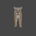 Standing Puma 3D Render With Light Brown Fur On Dark Background 3d model