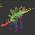 Stegosaurus Dinosaur Skeleton With Back Plates And Tail Spikes In Museum