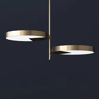 Modern two-disc chandelier 3d model