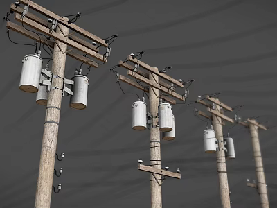 Row of Wooden Utility Poles With Cylindrical Transformers And Power Lines 3d model