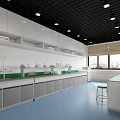 Modern Laboratory Interior With Green Counter Lab Benches Sinks White Cabinets And Windows