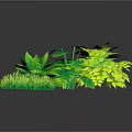 Lush Green Plant Scenery Components With Various Leaves Grass And Bushes