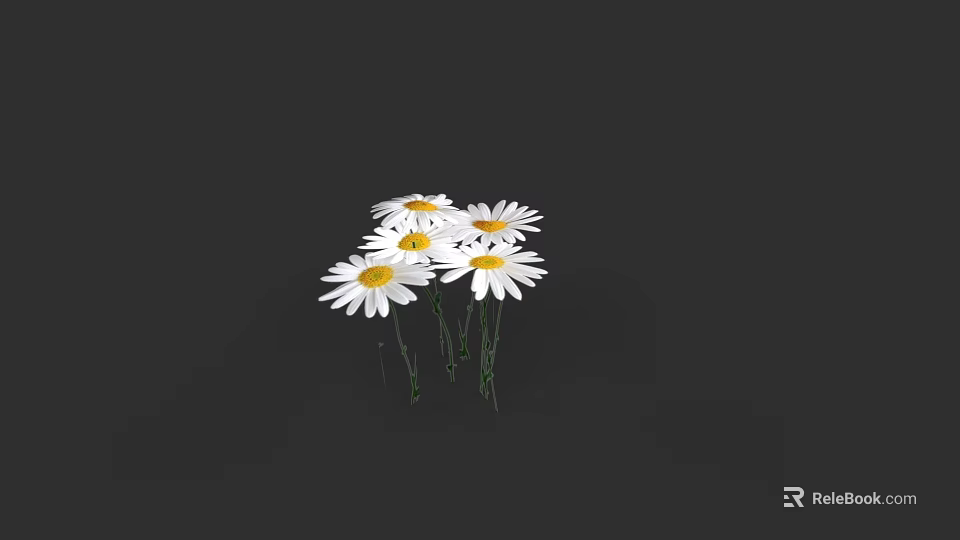 Fresh White Daisies with Yellow Centers Clustered Beautifully on Black Background 3d model 