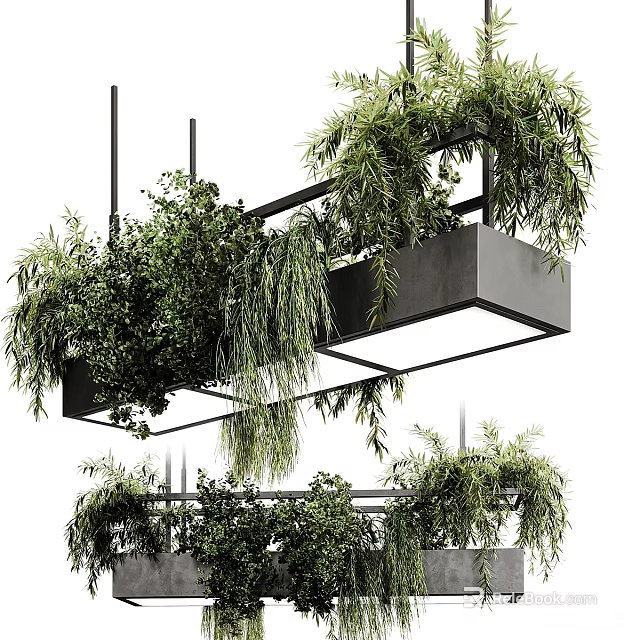 Modern Stylish Pendant Light With Green Plants And Hanging Foliage Design 3d model 