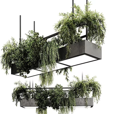 Modern Stylish Pendant Light With Green Plants And Hanging Foliage Design 3d model