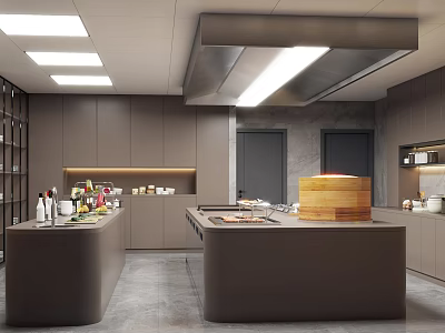 Commercial Kitchen Interior Design With Dark Cabinets Central Island And Wooden Steamer 3d model