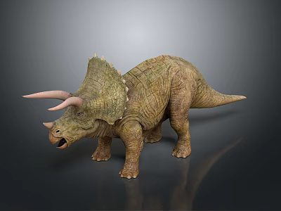 Realistic Triceratops Dinosaur Figure With Horns Frill Open Mouth Standing Pose And Detailed Skin Texture 3d model