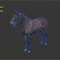 Realistic Brown Standing Horse On Dark Background With Clear Reflection 3d model