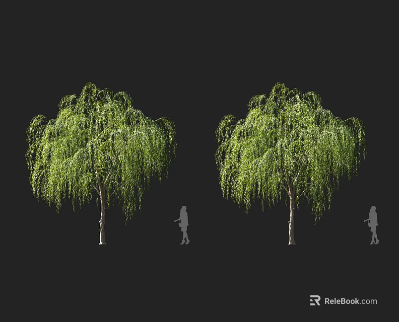 Weeping Willow Trees with Lush Green Drooping Branches and Silhouette Figures in Outdoor Scene 3d model 
