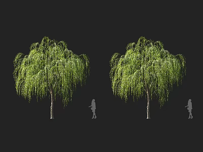 Weeping Willow Trees with Lush Green Drooping Branches and Silhouette Figures in Outdoor Scene 3d model