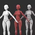 Game Film Character 3D Human Models With Anatomical Muscle And Skeleton Structures