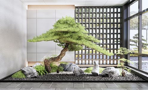 New Chinese style landscape sketch Zen style courtyard sketch cypress pine stone landscape stone dry landscape gardening indoor landscape plant landscape fern 3d model