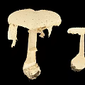 Two White Mushroom Plants with Damaged Cap Edges Against Black Background