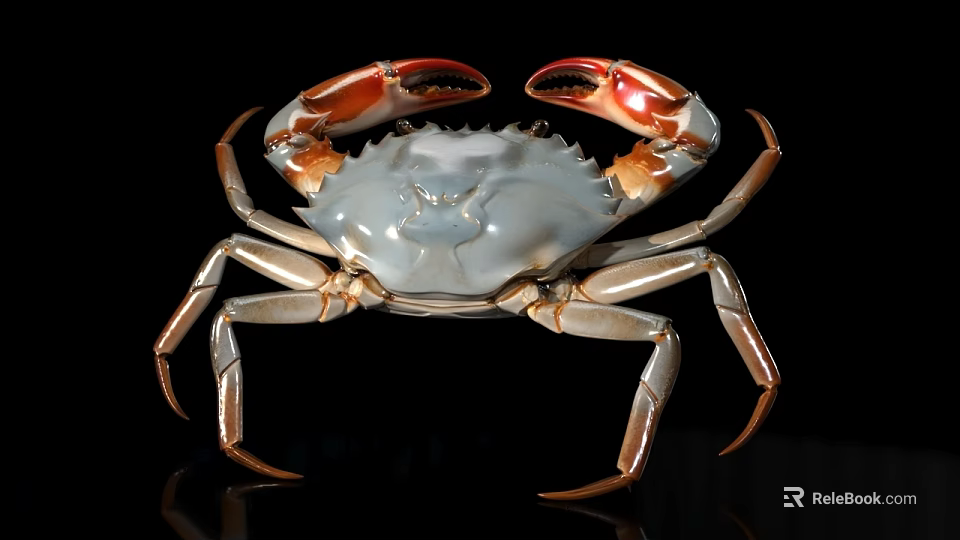 Blue Crab With Red Claws And Gray Body Isolated On Black Background 3d model 