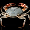 Blue Crab With Red Claws And Gray Body Isolated On Black Background