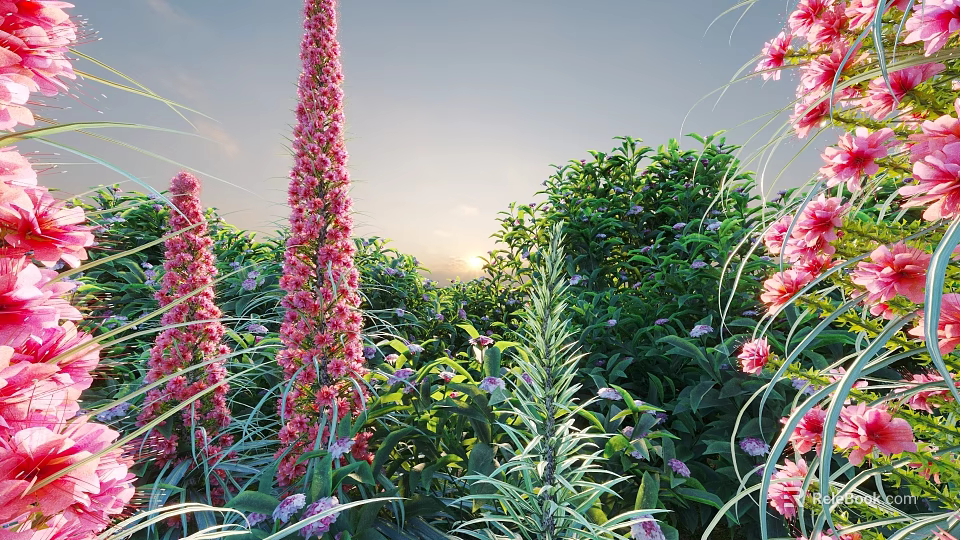 Tall Pink Flower Stems With Green Shrubs And Small Purple Flowers In Sunset Garden 3d model 