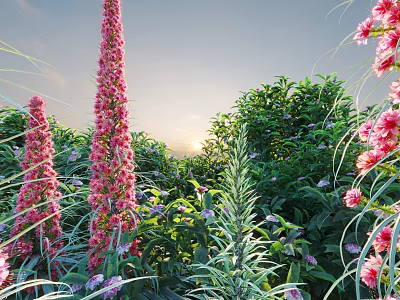 Tall Pink Flower Stems With Green Shrubs And Small Purple Flowers In Sunset Garden 3d model