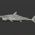 Shark Sculpture With Open Mouth Fin Details And Textured Surface On Dark Background